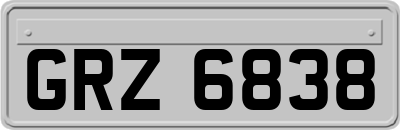 GRZ6838