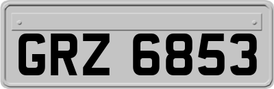 GRZ6853