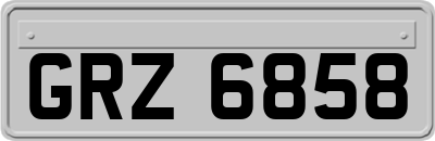 GRZ6858