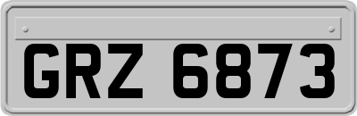 GRZ6873