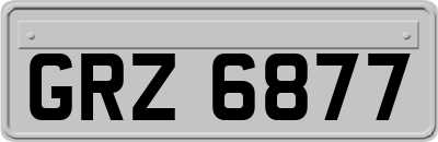 GRZ6877