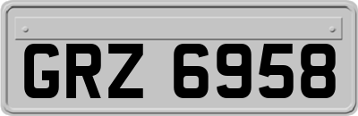 GRZ6958