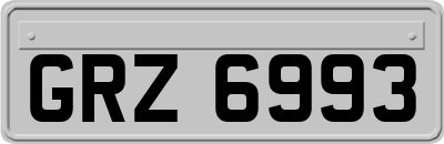 GRZ6993