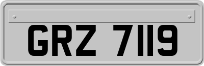 GRZ7119