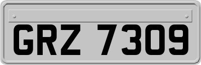 GRZ7309