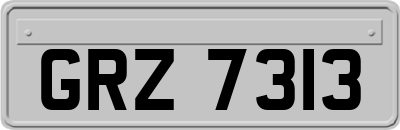GRZ7313