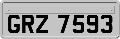 GRZ7593