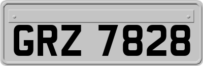 GRZ7828