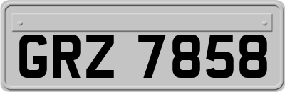 GRZ7858