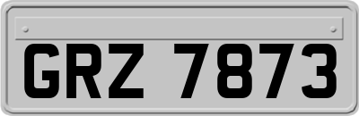 GRZ7873