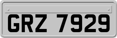 GRZ7929