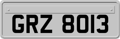 GRZ8013