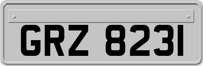 GRZ8231