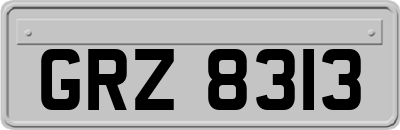 GRZ8313
