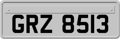 GRZ8513