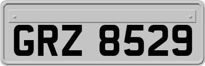 GRZ8529