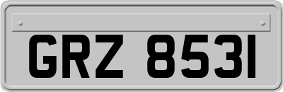 GRZ8531