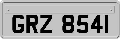 GRZ8541