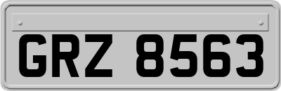 GRZ8563