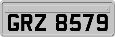 GRZ8579