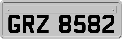 GRZ8582