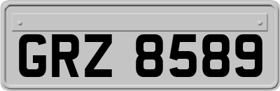 GRZ8589