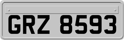 GRZ8593