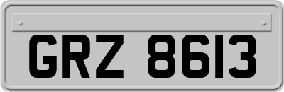 GRZ8613