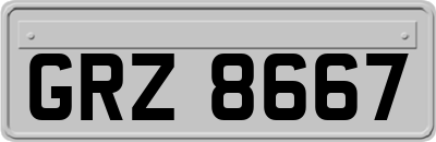 GRZ8667