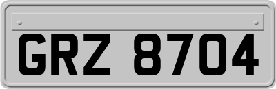GRZ8704
