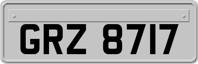 GRZ8717