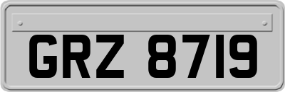 GRZ8719