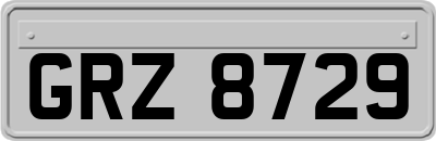 GRZ8729