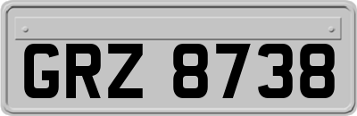 GRZ8738
