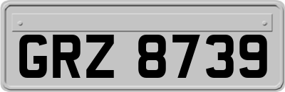 GRZ8739