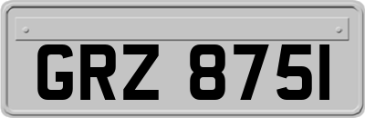 GRZ8751