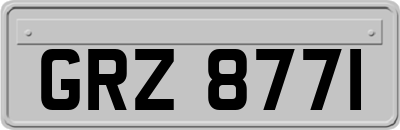 GRZ8771
