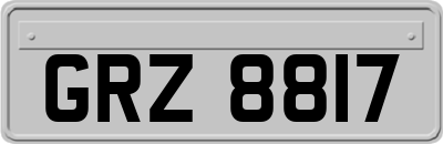 GRZ8817