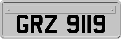 GRZ9119