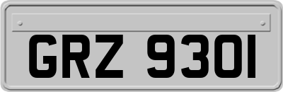 GRZ9301