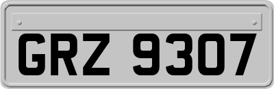 GRZ9307