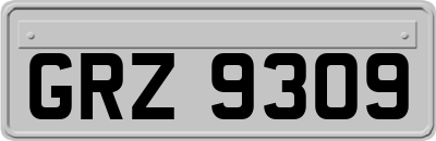 GRZ9309