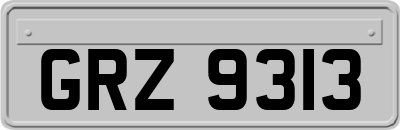 GRZ9313