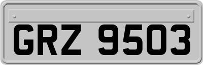 GRZ9503