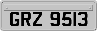GRZ9513