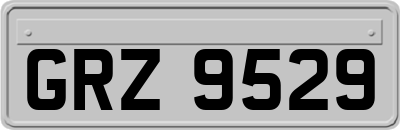 GRZ9529