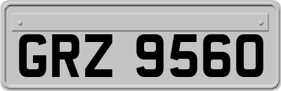 GRZ9560