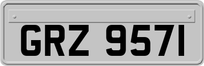 GRZ9571