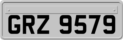 GRZ9579