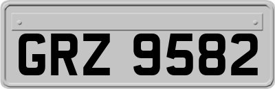 GRZ9582